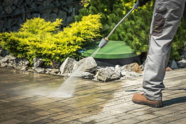Animal Enclosure Cleaning in Brownsburg, IN